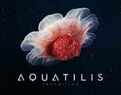 Житель Брянской области ответит в суде за гибель знакомого при валке леса