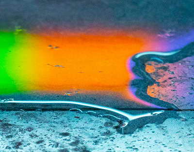 В Соляном саду весь сентябрь будут показывать кино и мультфильмы